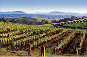 AAT Kings Hunter Valley Harvest Wine Experience (J14)