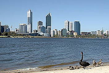 Grayline Perth City Highlights Morning Tour