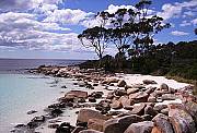 The amazing Bay of Fires