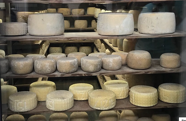 Bruny Island cheese wheels and Cheese Shop visit